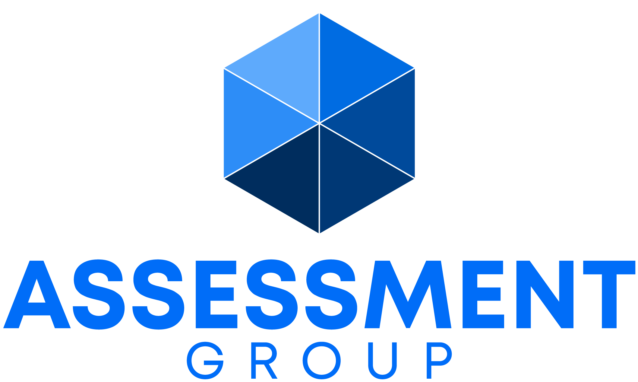 Assessment Group